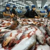 Export of farmed fish fetches nearly 3.1 billion USD