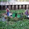 HCM City intensifies anti-pollution, canal cleanup efforts