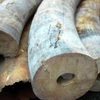 Hanoi: large amount of elephant tusks found