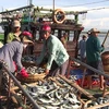 Sea pollution-affected fishermen in Thua Thien-Hue get support 