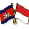 Cambodia, Indonesia broaden military cooperation