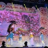 Hoi An-Japan cultural festival opens 