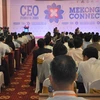 Mekong Connect-CEO Forum 2016: Seeking chances in challenges