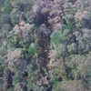 Second Indonesian plane crash black box found