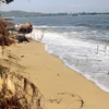 Sand overexploitation, deforestation worsen coastal erosion: expert