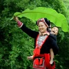 Vietnam contest shows photo, video skills