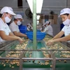 Vietnam, Italy reinforce trade ties