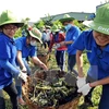 Quang Binh, Khammouane youth unions further ties