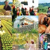 Vietnam’s MDG implementation over 15 years reviewed