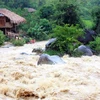 Floods kill four in Nghe An province