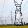 Dong Nai: 99.49 pct of households access national power grid