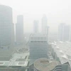 Singapore: International cooperation needed to tackle haze
