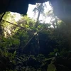  New cave discovered in Cha Noi forest