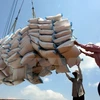  Rice exports see positive signs 