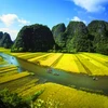 Vietnam's landscapes to appear on UK TV