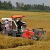 Farmers called to devote greater efforts to national development 