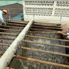 Denmark helps Vietnam train workforce for water projects 