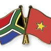 Measures to boost Vietnam, South Africa party relations discussed 