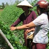 ASEAN can boost agri-industry through empowerment of women: FAO 