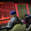 China’s stocks have little impact on Vietnam 