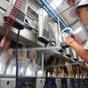 New standards to be set for raw milk 