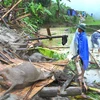 Workshop promotes disaster management in Mekong Delta 