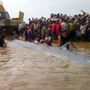 Dead whale buried in Nghe An 