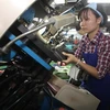 Indian leather industry eyes huge Vietnam's market