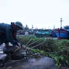 Northern Vietnam prepares for storm Mirinae