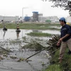 Germany to help Vietnam deal with wastewater