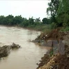 Riverbank erosion affects livelihoods in Quang Nam