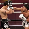 Vietnamese beats French rival at Thai Fight World Battle