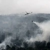 Malaysia, Indonesia hold dialogue on forest fires, haze pollution