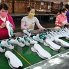 Dong Nai posts record-high footwear export