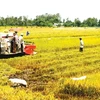 Quality human resources vital for Mekong economy