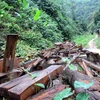 Southern localities review forest protection activities