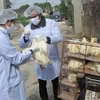 Ministry urges precautionary measures to control bird flu
