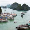 Quang Ninh bans construction of new tourist boats
