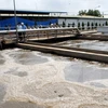 Belgium funds wastewater treatment project in Thai Nguyen 