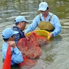 Mekong Delta makes livelihood adapt to climate change 