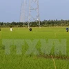 Japan puts stress on agricultural deal with Vietnam 