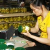 Record year for starting business in Vietnam