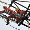 HCM City to cut power outages