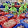 Tra fish export forecast to drop 5 percent this year