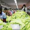 Cambodia’s economy forecast to grow 7 percent