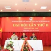 Vietnamese companies perform well in Laos