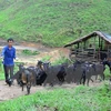 Vietnamese ambassador addresses UN session on social development