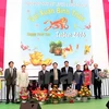 Vietnamese music show in German trade fair