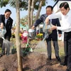 President launches Tree Planting Festival in Tuyen Quang