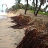 Sea erosion damages homes in Binh Thuan